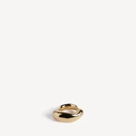 Eisa-ring i skinnende guld