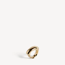 Eisa-ring i skinnende guld