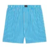 FW21 Stribede shorts “Blue” 6583964A8B74900