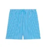 FW21 Stribede shorts “Blue” 6583964A8B74900