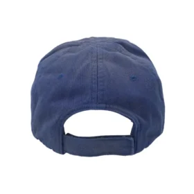 Political Campaign kasket “Blue” 661884310B24277